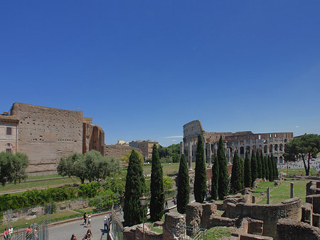 Fotos Kolosseum mit dem Forum Romanum