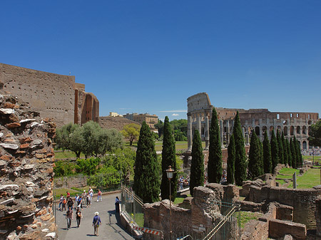 Kolosseum mit dem Forum Romanum