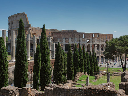 Fotos Kolosseum mit dem Forum Romanum | Rom