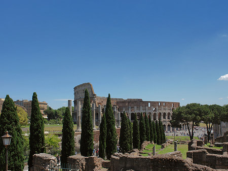 Kolosseum mit dem Forum Romanum