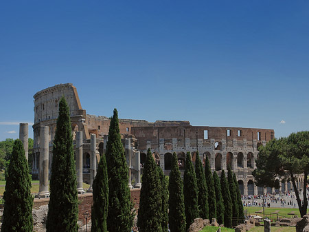 Fotos Kolosseum mit dem Forum Romanum | Rom