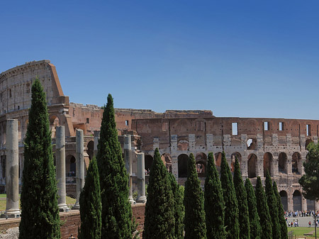 Fotos Kolosseum mit dem Forum Romanum | Rom