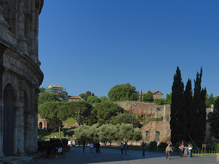 Fotos Piazza del Colosseo | Rom