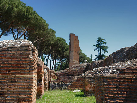 Fotos Ruinen am Apollo Tempel