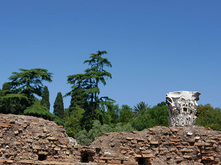 Ruinen am Apollo Tempel