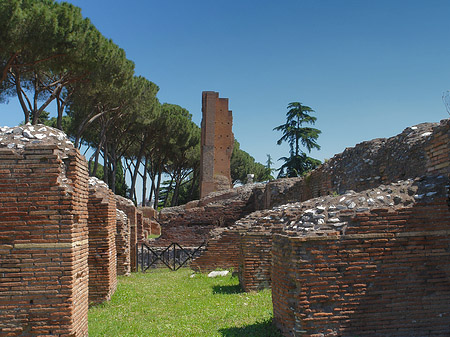 Fotos Ruinen am Apollo Tempel | Rom