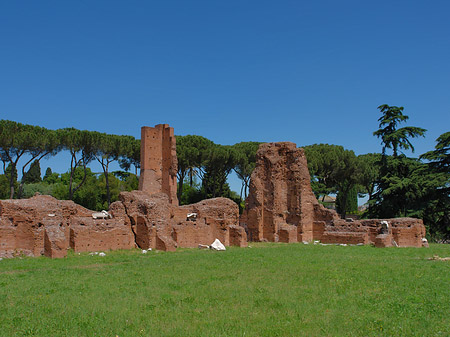 Foto Ruinen am Apollo Tempel - Rom