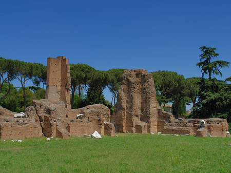 Foto Ruinen am Apollo Tempel - Rom