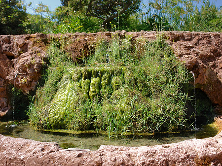 Foto Brunnen am Palatin