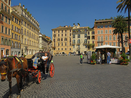 Foto Pferdekutsche auf der Piazza die Spagna - Rom