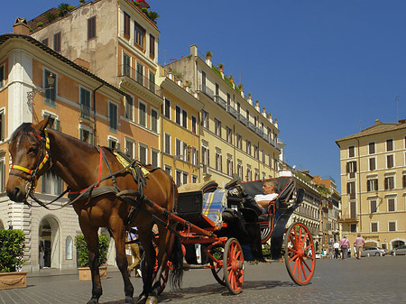 Fotos Pferdekutsche auf der Piazza die Spagna | Rom