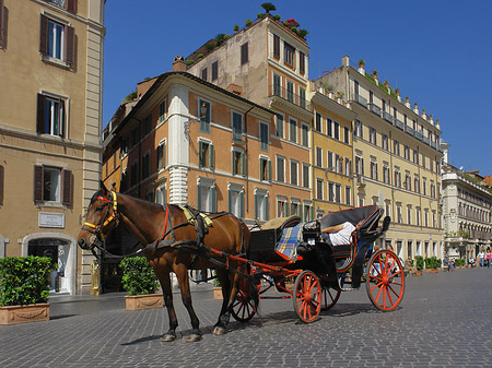 Foto Pferdekutsche auf der Piazza die Spagna