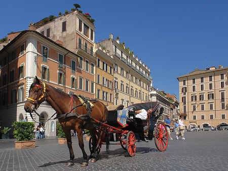 Fotos Pferdekutsche auf der Piazza die Spagna | Rom