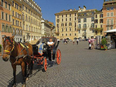 Foto Pferdekutsche auf der Piazza die Spagna - Rom