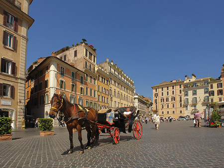 Pferdekutsche auf der Piazza die Spagna